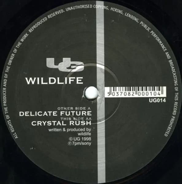 Delicate Future / Crystal Rush