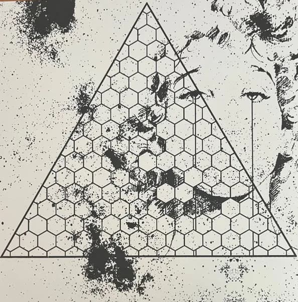 Betrayed In The Octagon