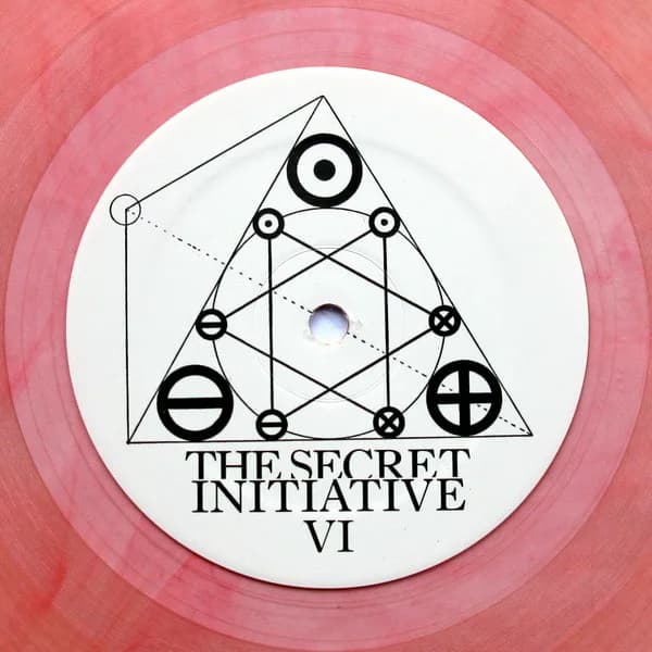 The Secret Initiative VI