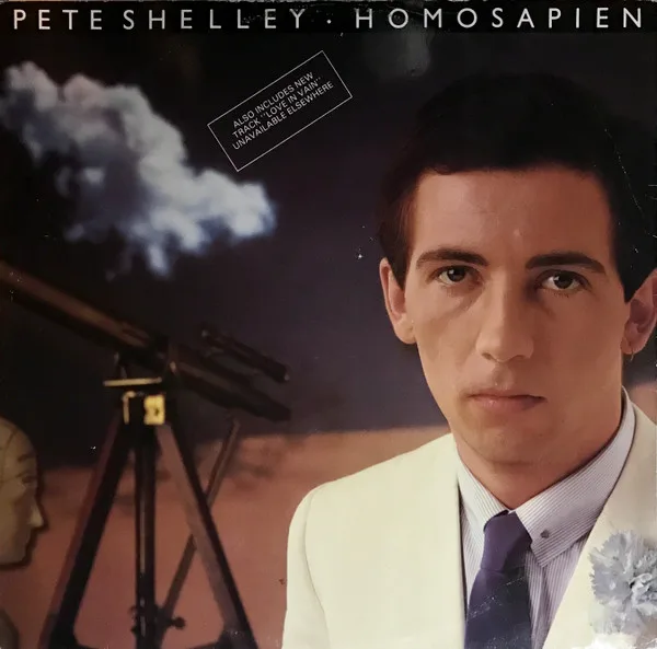 Homosapien / Love In Vain